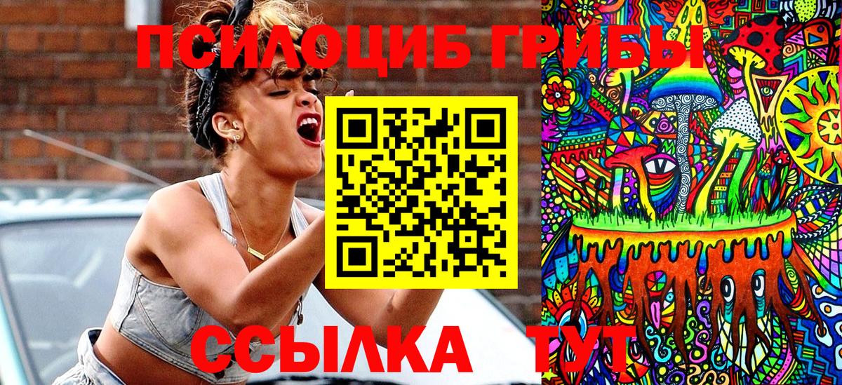 Клинцы  Псилоцибиновые грибы MAGIC MUSHROOMS  купить  сайты  Галлюциногенные грибы мухоморы  Вход с VPN 